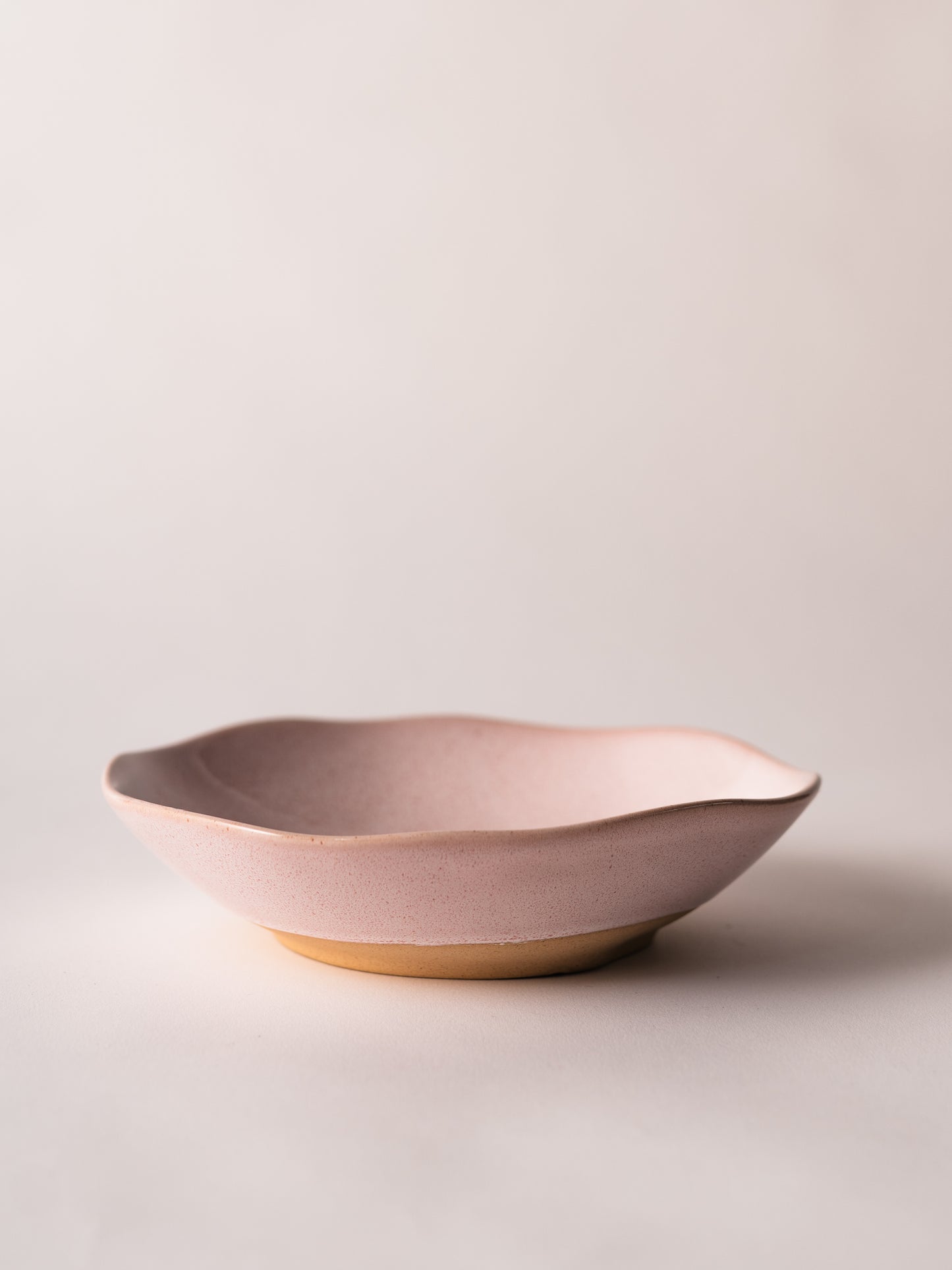 Low Tide Dinner Bowl (Set of 4)