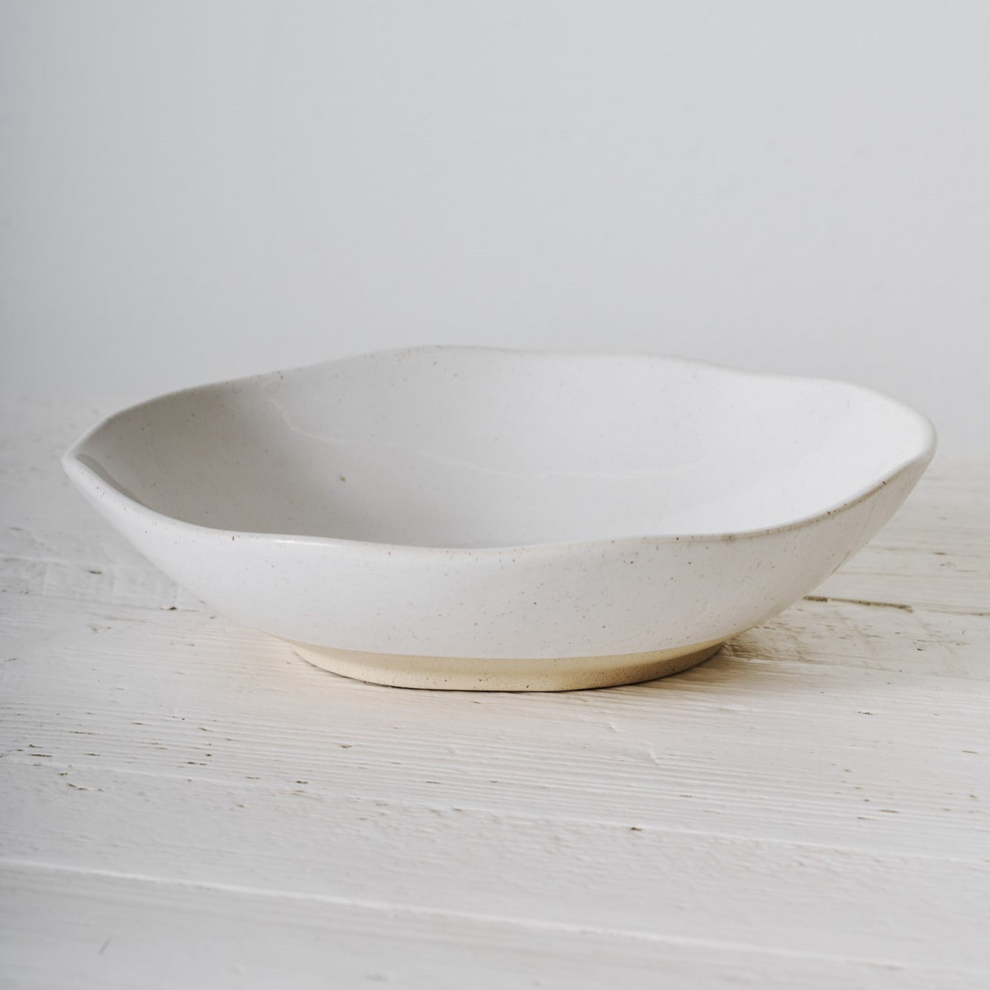 Low Tide Dinner Bowl (Set of 4)