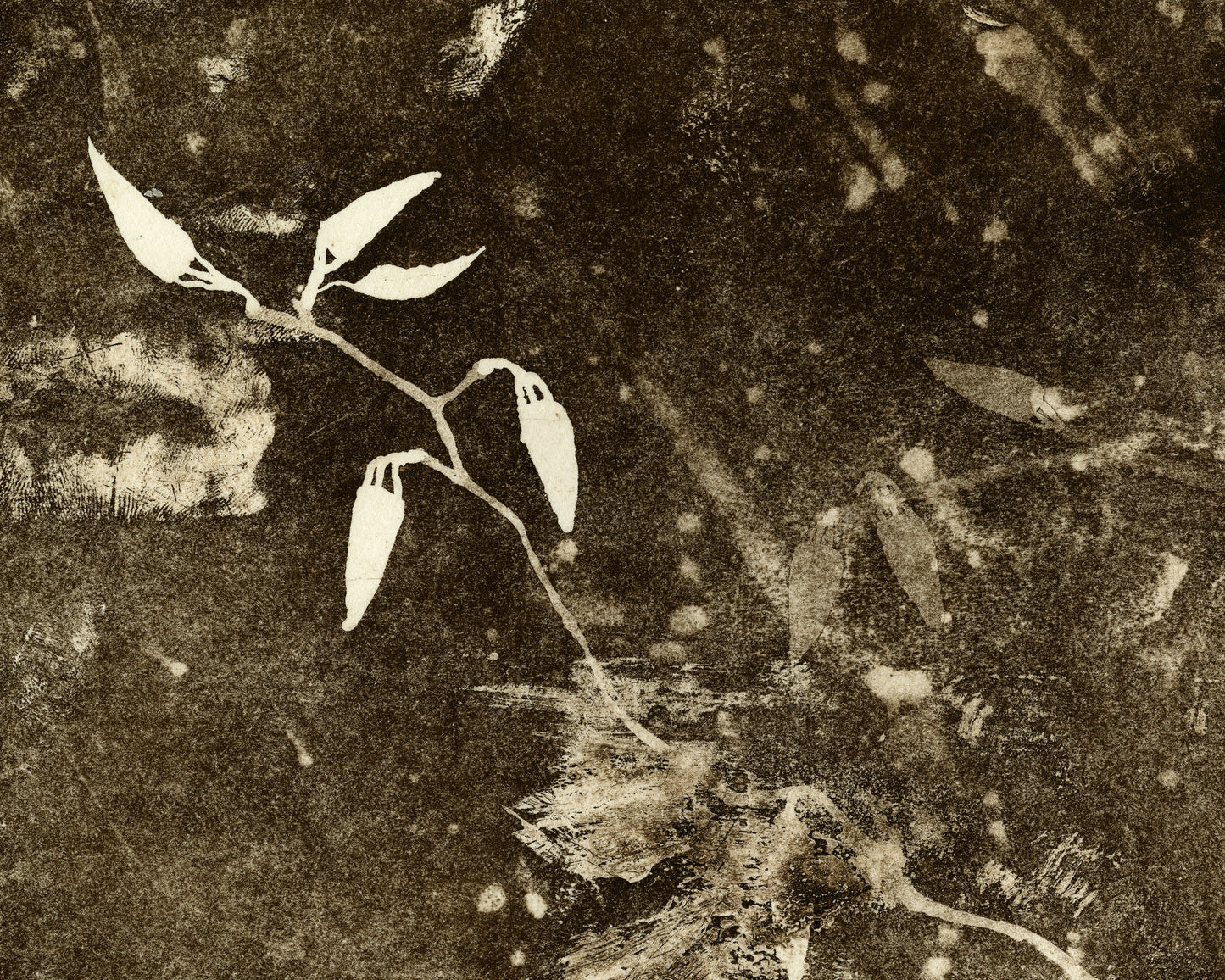 Spring Eternal 1 Wall Art